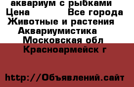 аквариум с рыбками › Цена ­ 1 000 - Все города Животные и растения » Аквариумистика   . Московская обл.,Красноармейск г.